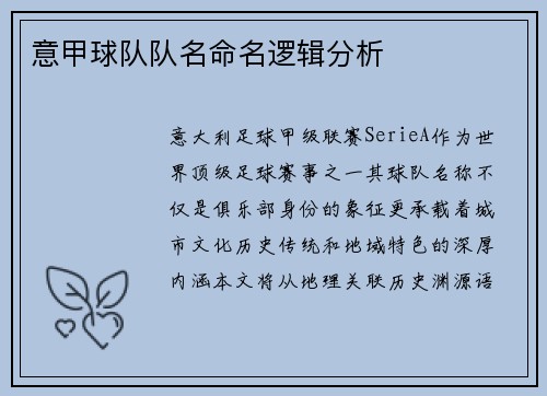 意甲球队队名命名逻辑分析
